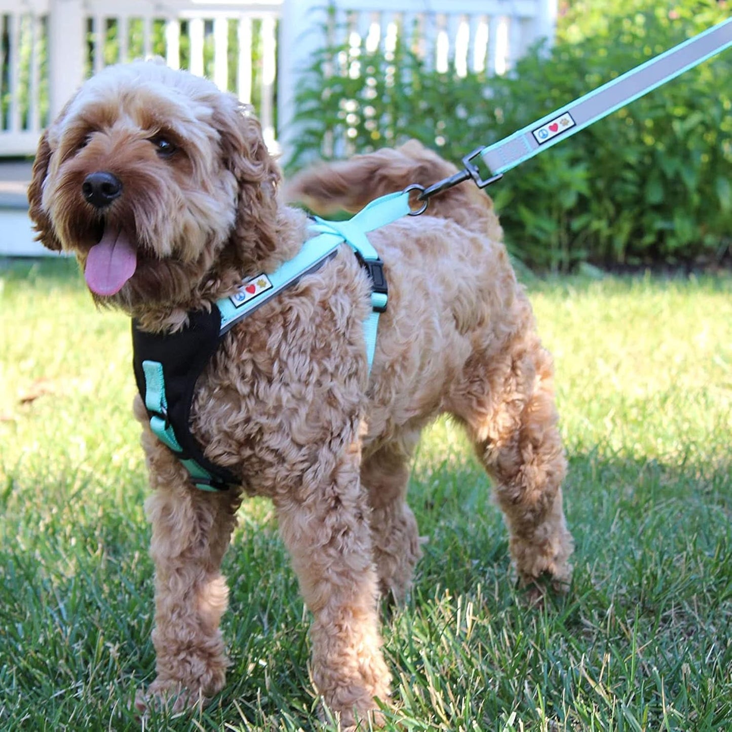 Customizable 6 Ft Black Dog Leash with Reflective Features and Padded Handle, Embroidered with Name and Phone Number