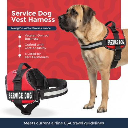 Service Dog Vest Harness - Durable Adjustable Vest with Reflective Straps, Removable Patches, 50 ADA Cards, Handle & D-Ring for Travel and Daily Use (Bright Red, XL 30"-39")