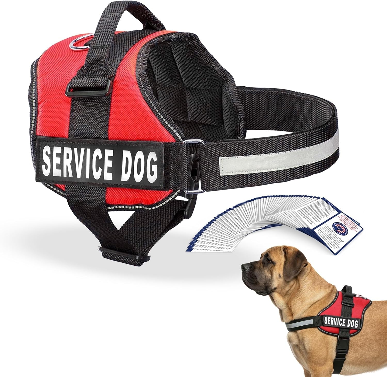 Service Dog Vest Harness - Durable Adjustable Vest with Reflective Straps, Removable Patches, 50 ADA Cards, Handle & D-Ring for Travel and Daily Use (Bright Red, XL 30"-39")