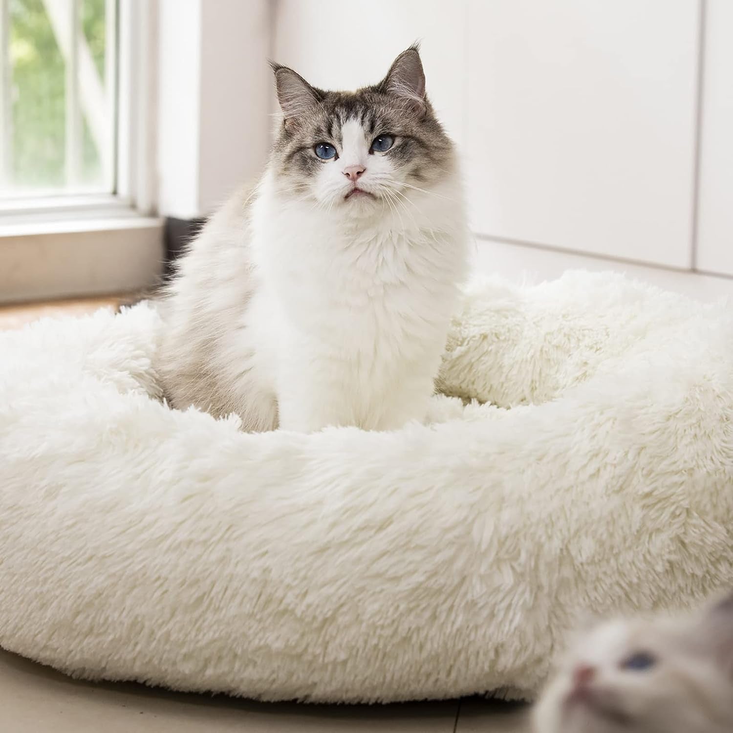 Anti-Anxiety Round Fluffy Plush Faux Fur Washable Pet Bed for Dogs and Cats, Joint Relief and Sleep Improvement, Available in 20", 24", and 27" Sizes (27", White)