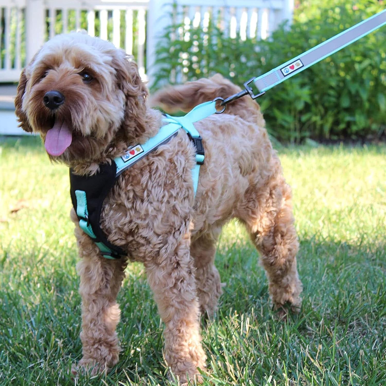 Customizable 6 Ft Black Dog Leash with Reflective Features and Padded Handle, Embroidered with Name and Phone Number