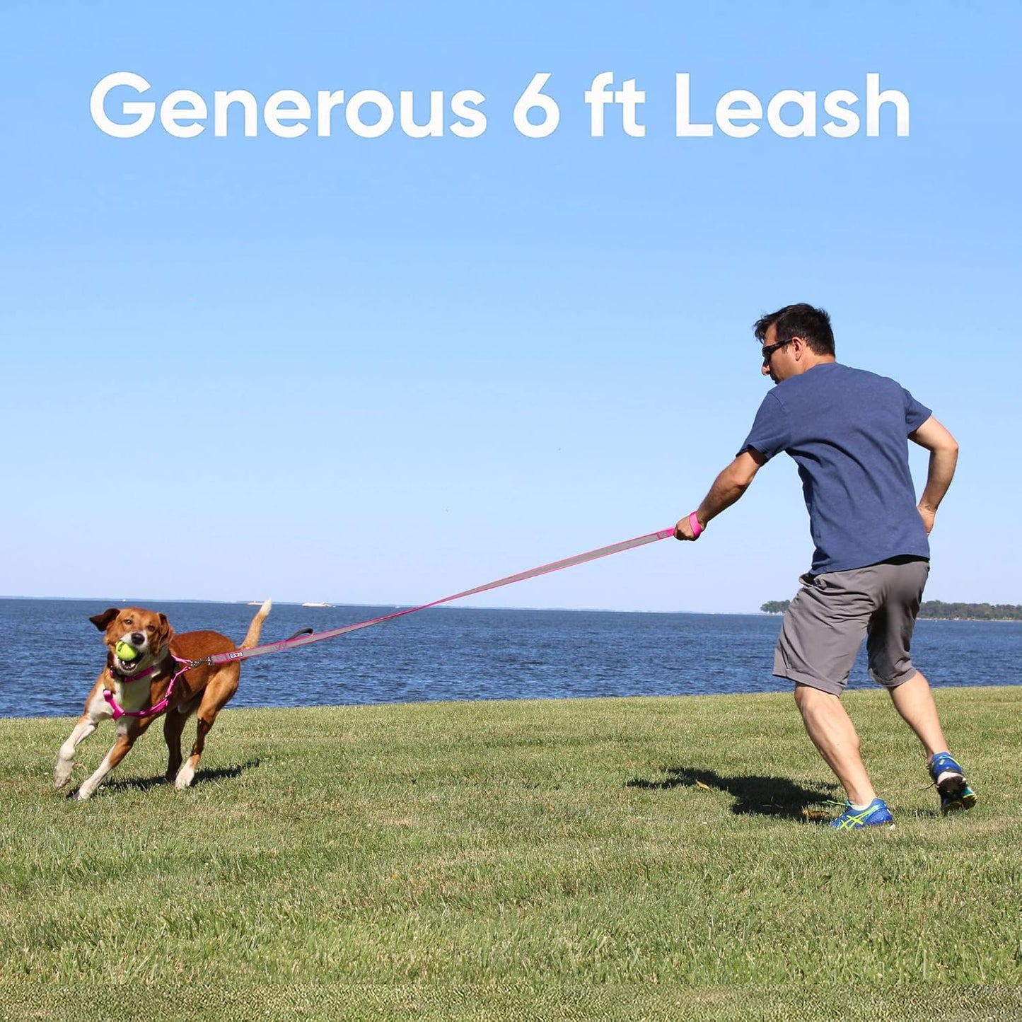 Customizable 6 Ft Black Dog Leash with Reflective Features and Padded Handle, Embroidered with Name and Phone Number